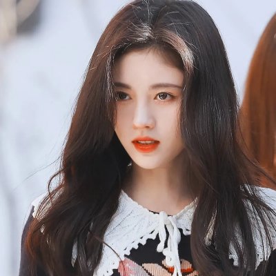 大鲨鱼2021